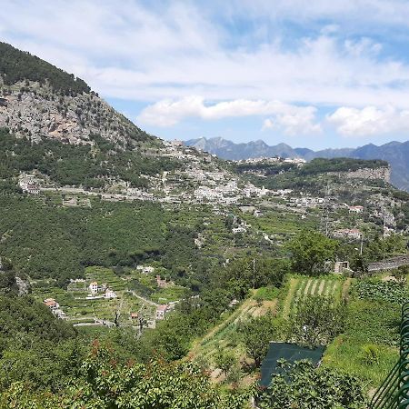 Silvy House Lejlighed Amalfi Eksteriør billede